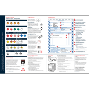 Shipping Dangerous Goods by Sea Chart, French - ICC Canada