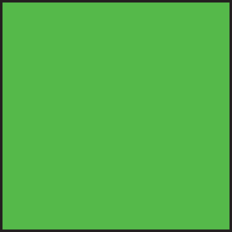 Blank Fluorescent Square Label - 1.25", Fluorescent Dark Green Paper, 500/Roll - ICC Canada