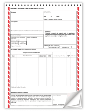 Air Declaration Form, 4-Part NCR, English Only, Preprinted, 100/Pack - ICC USA