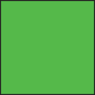 Blank Fluorescent Square Label - 3, Fluorescent Dark Green Paper