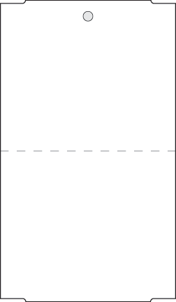 3.5" x 6" Blank Tag - White, 2-Part - ICC USA